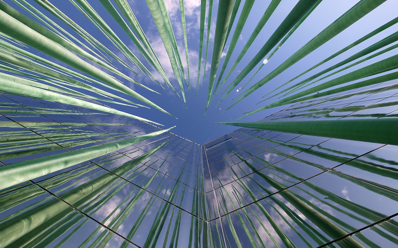 世博會展覽 世博會展覽